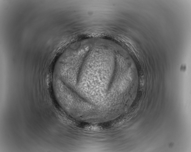 X0000098220503200805081201