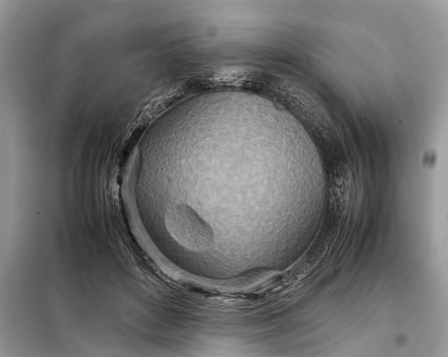 X0000098220504200805081201