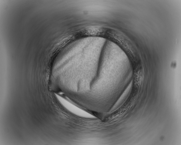 X0000098220505200805081201