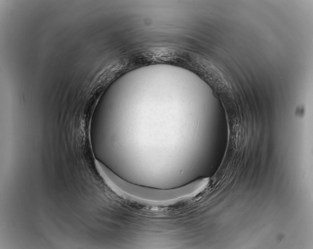 X0000098220506200805081201