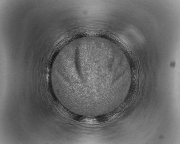 X0000098220507200805081201