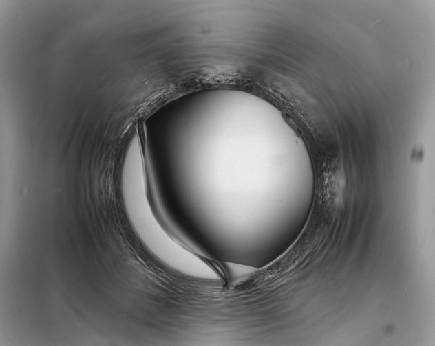 X0000098220508200805081201