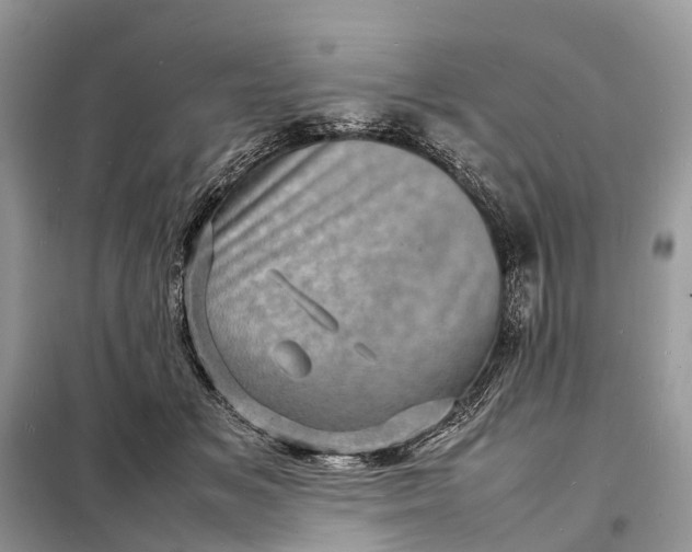 X0000098220509200805081201