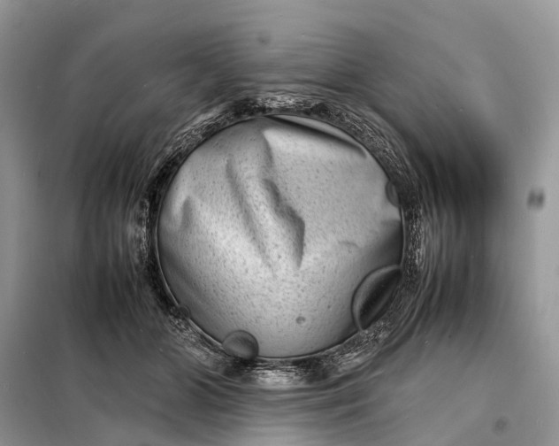 X0000098220510200805081201