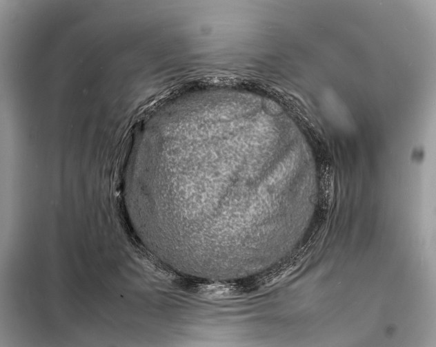 X0000098220511200805081201