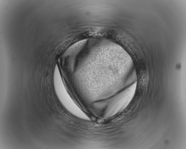 X0000098220513200805081201