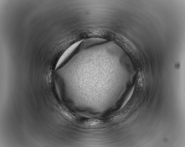 X0000098220514200805081201