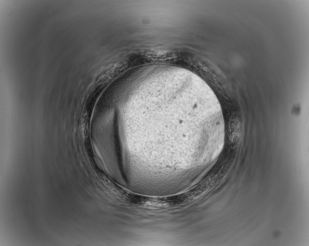 X0000098220515200805081201