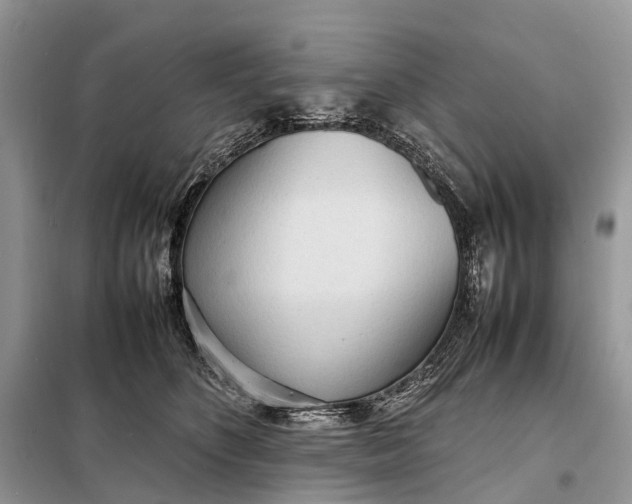 X0000098220516200805081201