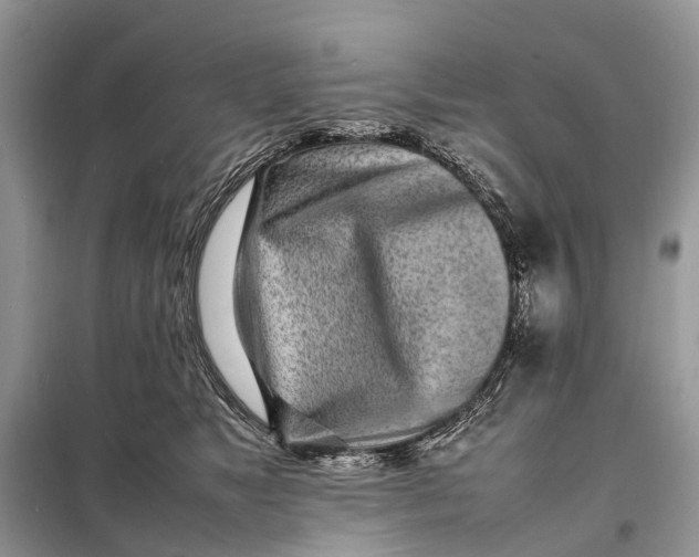 X0000098220517200805081201