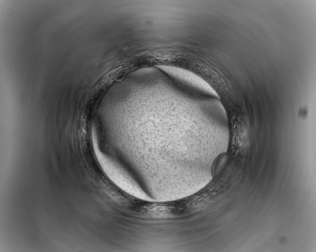 X0000098220518200805081201