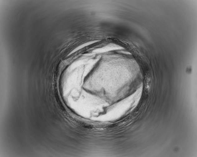 X0000098220519200805081201