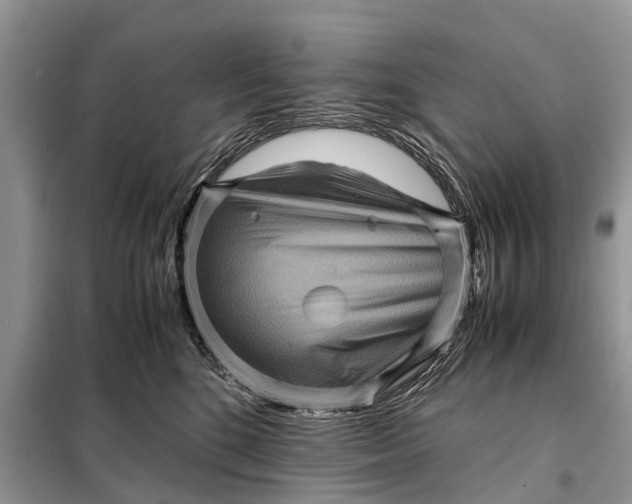 X0000098220520200805081201