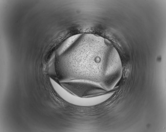 X0000098220521200805081201