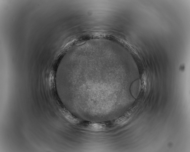 X0000098220522200805081201