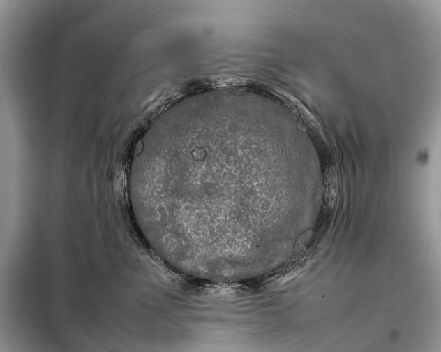 X0000098220523200805081201