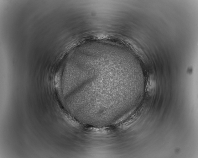 X0000098220524200805081201