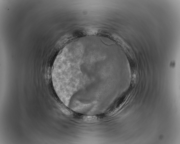 X0000098220525200805081201