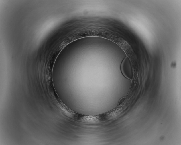 X0000098220526200805081201