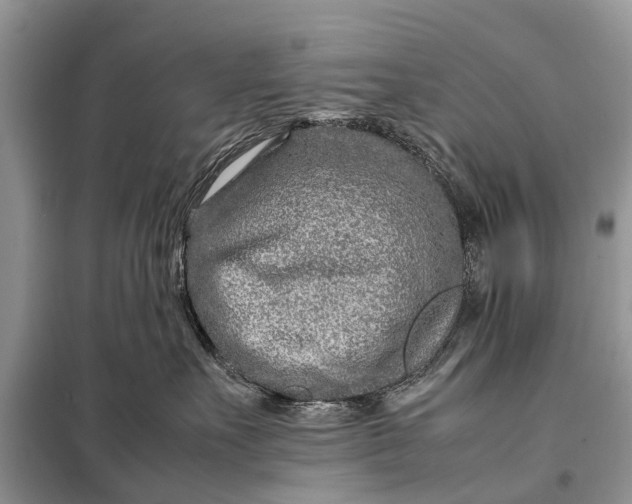 X0000098220527200805081201