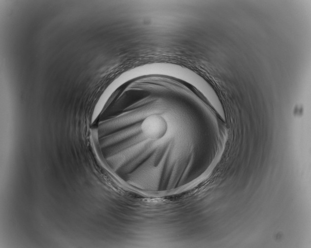 X0000098220528200805081201