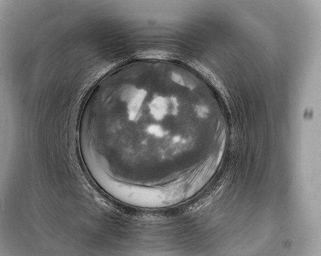 X0000098220529200805081200