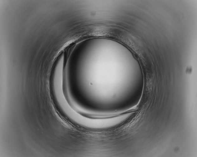 X0000098220530200805081200