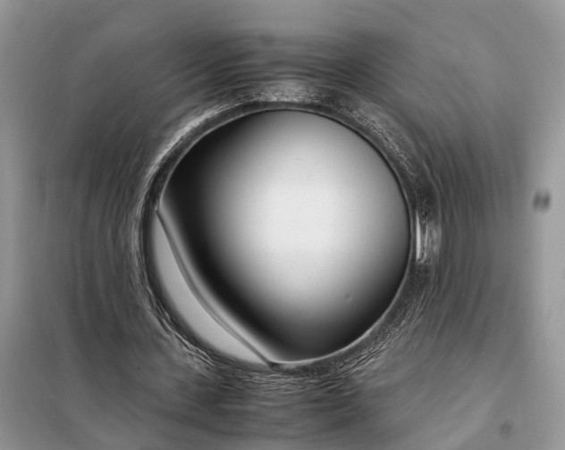 X0000098220531200805081200