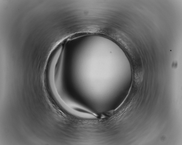 X0000098220532200805081200