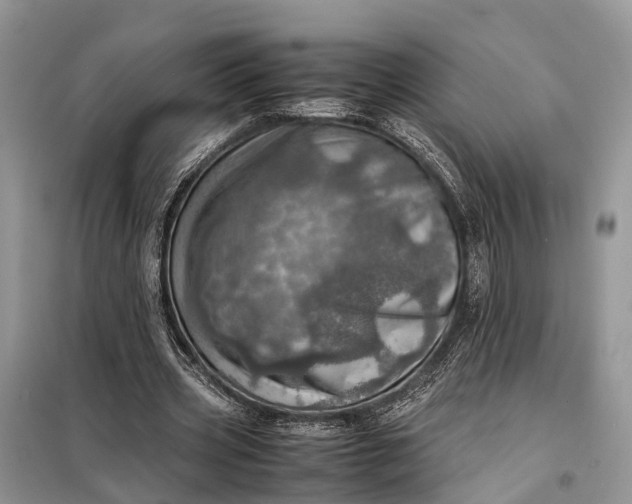 X0000098220533200805081200