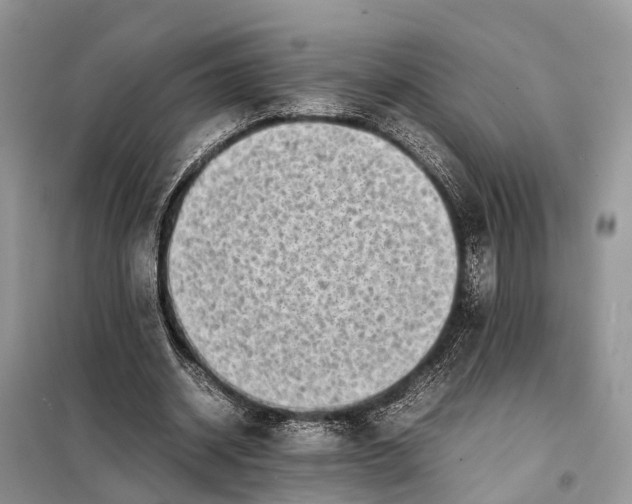 X0000098220534200805081200