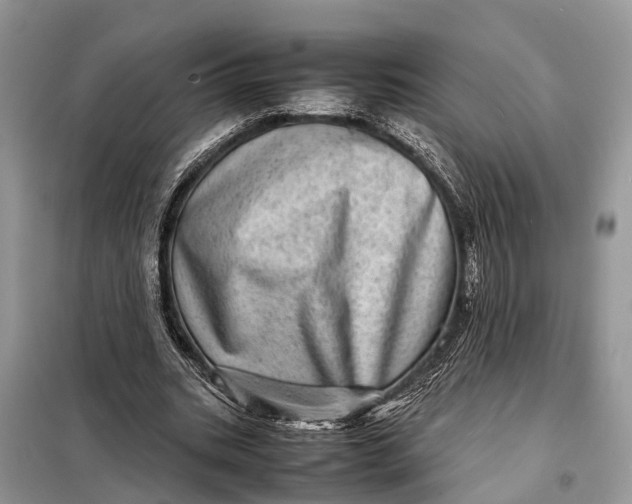 X0000098220535200805081200