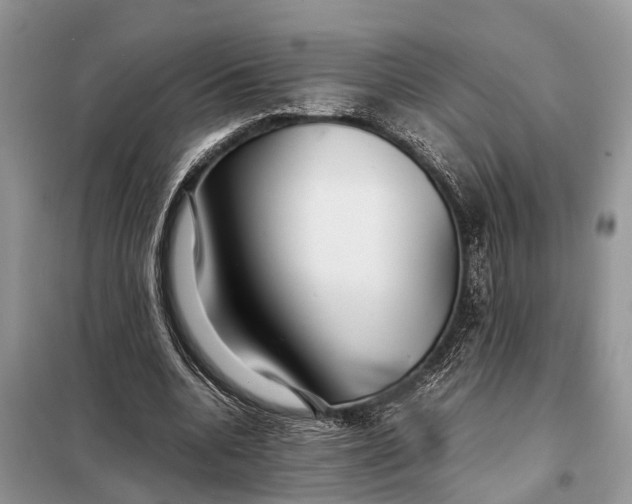 X0000098220536200805081200