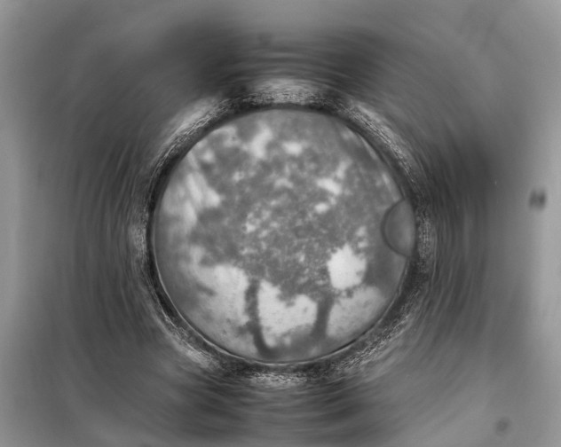 X0000098220537200805081200