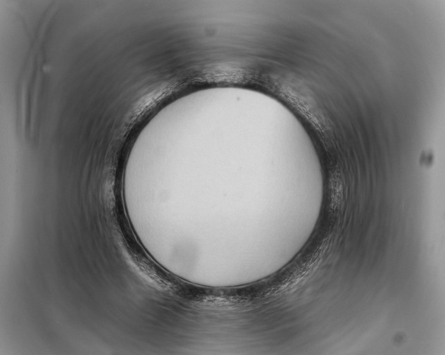 X0000098220538200805081200