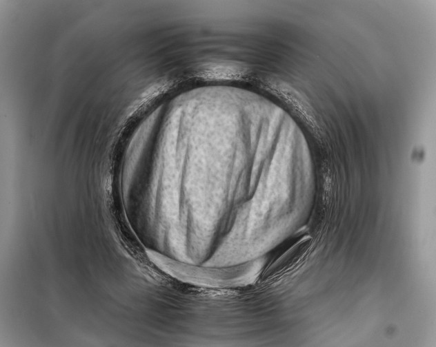 X0000098220539200805081200