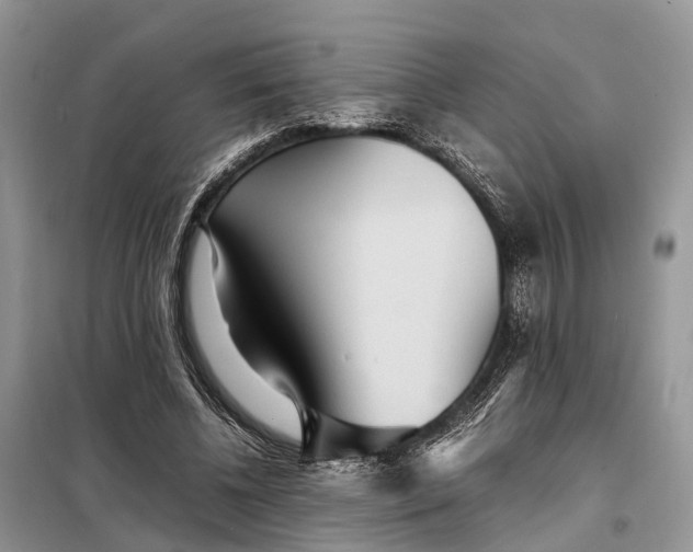 X0000098220540200805081200