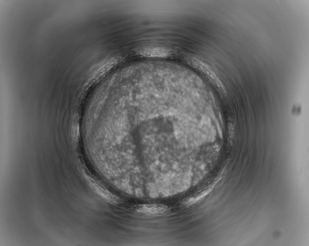 X0000098220541200805081200