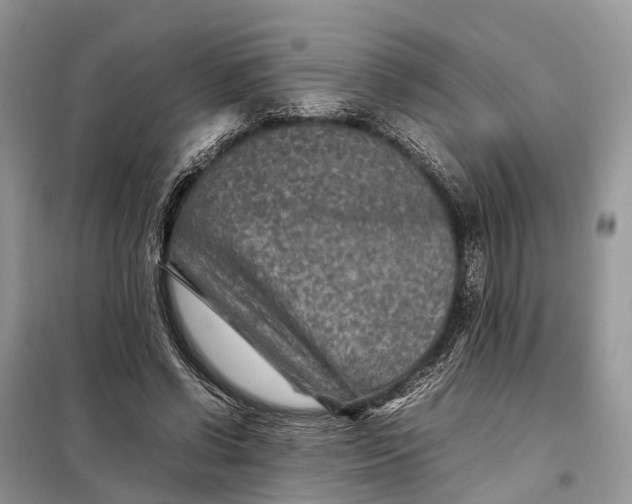 X0000098220542200805081200