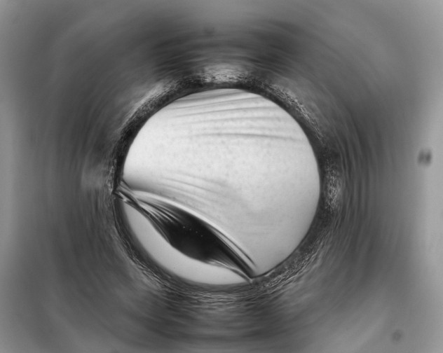 X0000098220543200805081200