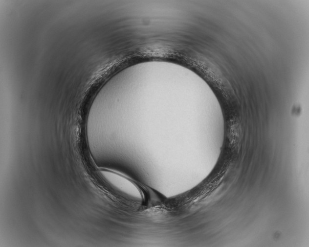 X0000098220544200805081200