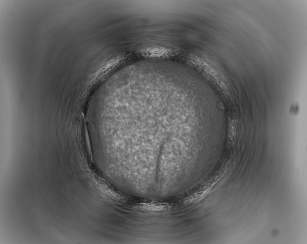 X0000098220545200805081200