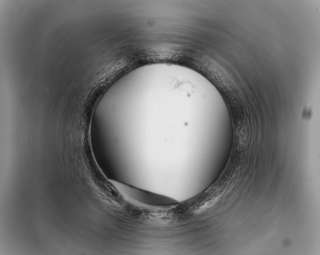 X0000098220546200805081200