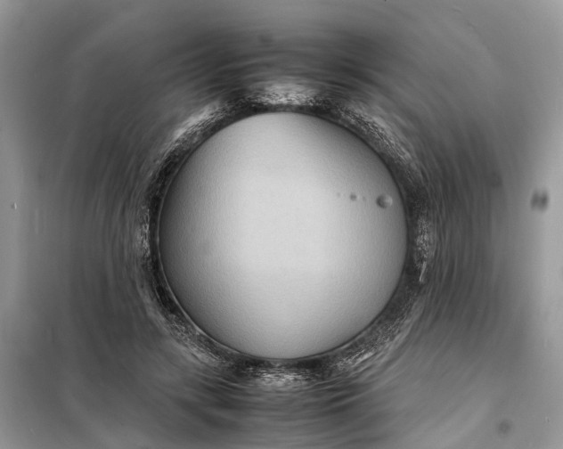 X0000098220547200805081200