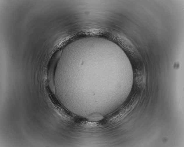 X0000098220548200805081200