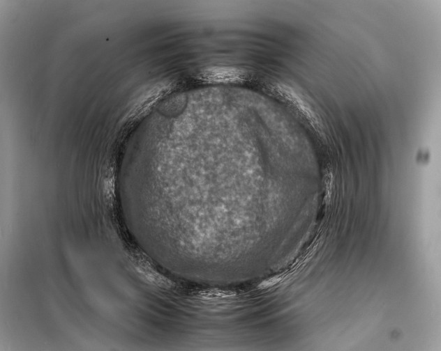 X0000098220549200805081201