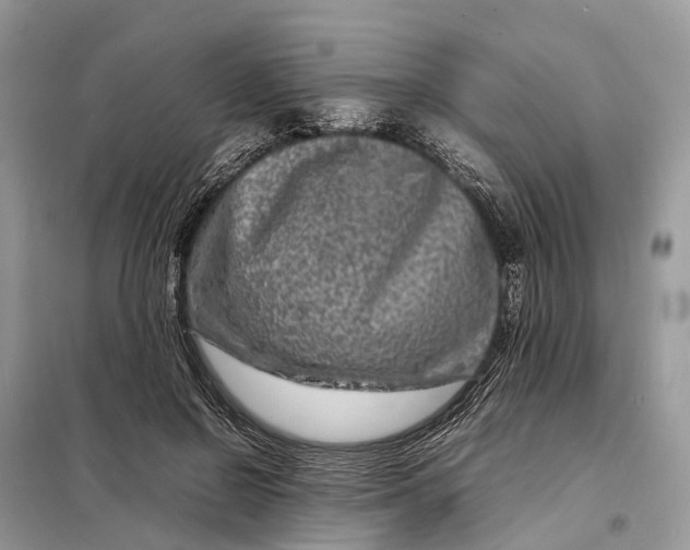 X0000098220550200805081201