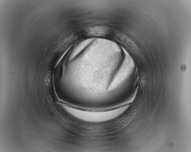 X0000098220551200805081201