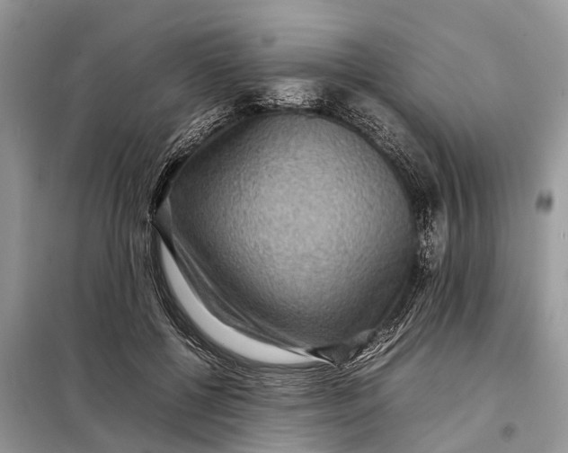 X0000098220552200805081201