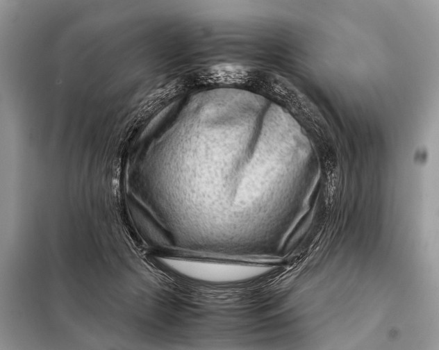 X0000098220553200805081201